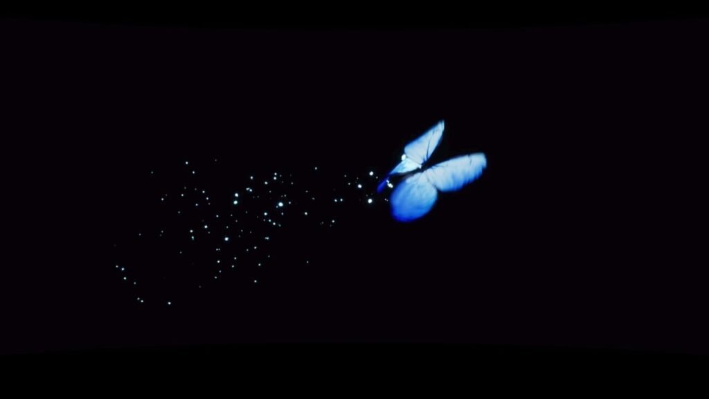 Butterfly P3R