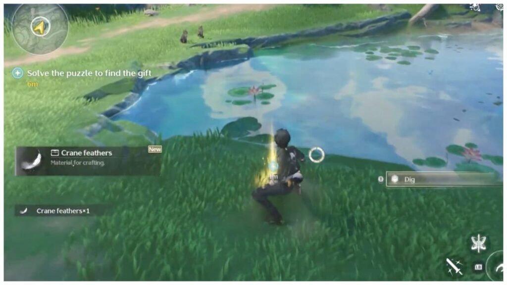 The Past is the Future Heart-Shaped Pond