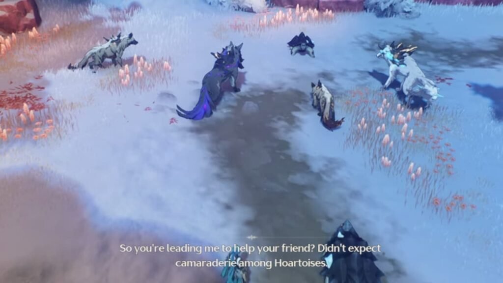 Help the Hoartoise reunite