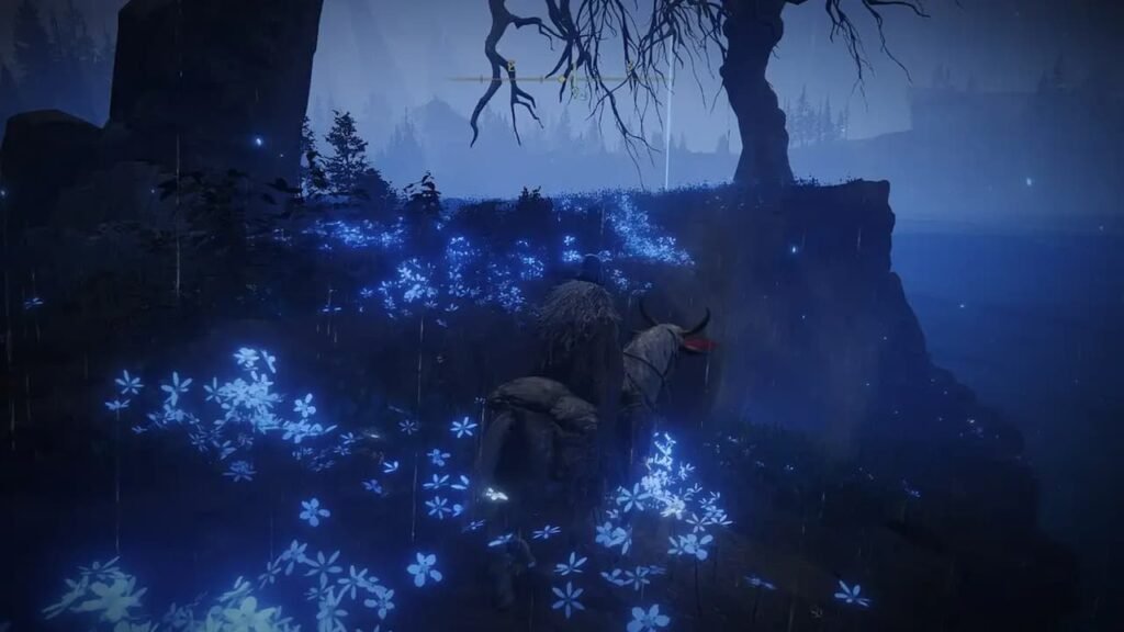 How to get to Cerulean Coast Shadow of the Erdtree