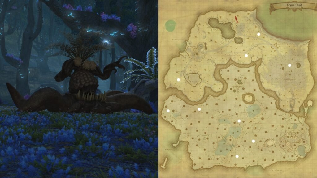Neyoozoteel spawn locations