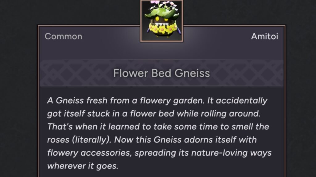 Flower Bed Gneiss Amitoi