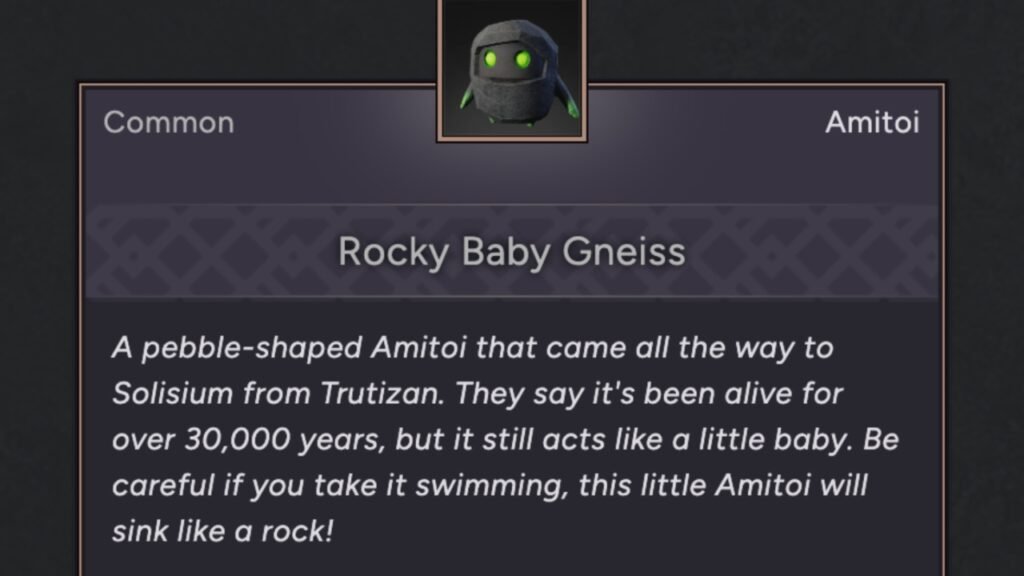 Rocky baby Gneiss Amitoi
