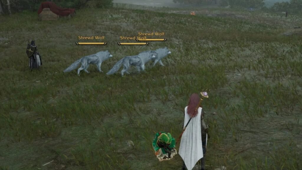 Wolf hunting Throne and Liberty