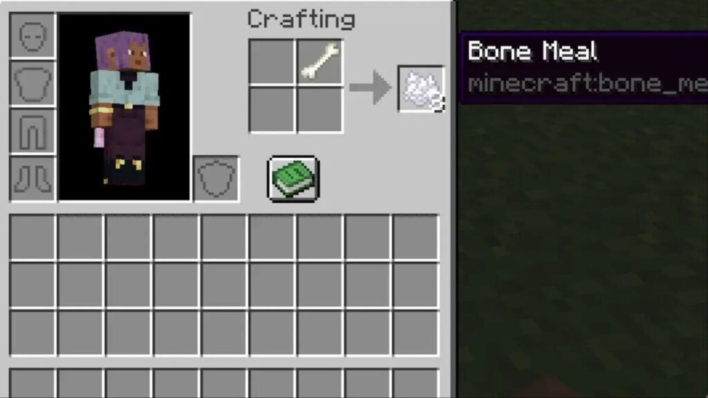 Bone Meal Minecraft