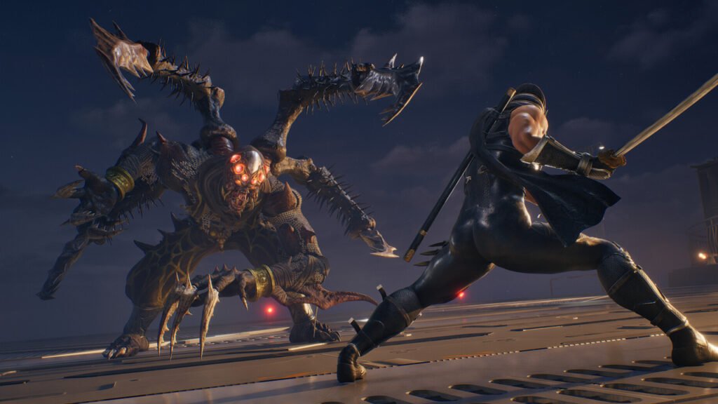 image from Ninja Gaiden 2 Black