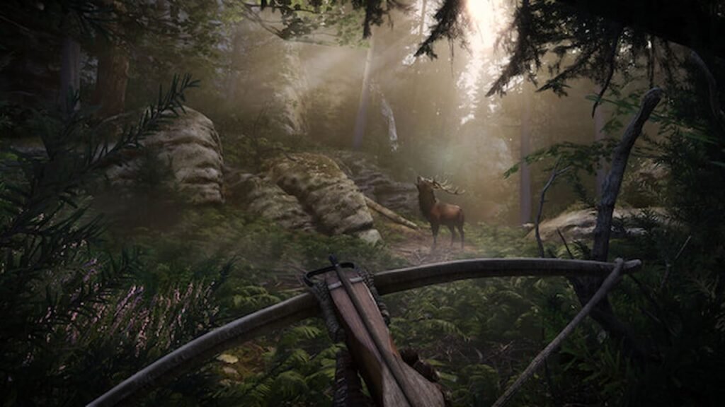 An image of KCD 2's forest.