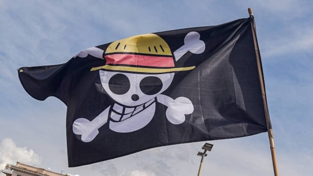 Straw Hat One Piece Flag is now a symbol of protest in Indonesia