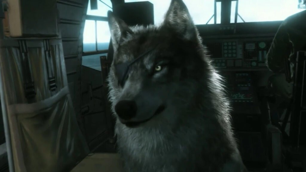 image from MGS V