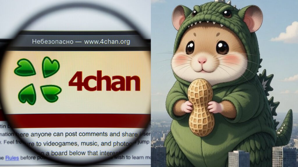 image of 4chan hamster