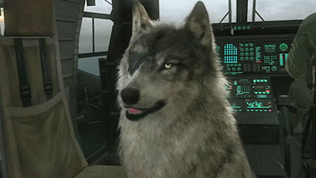 image of Diamond Dog