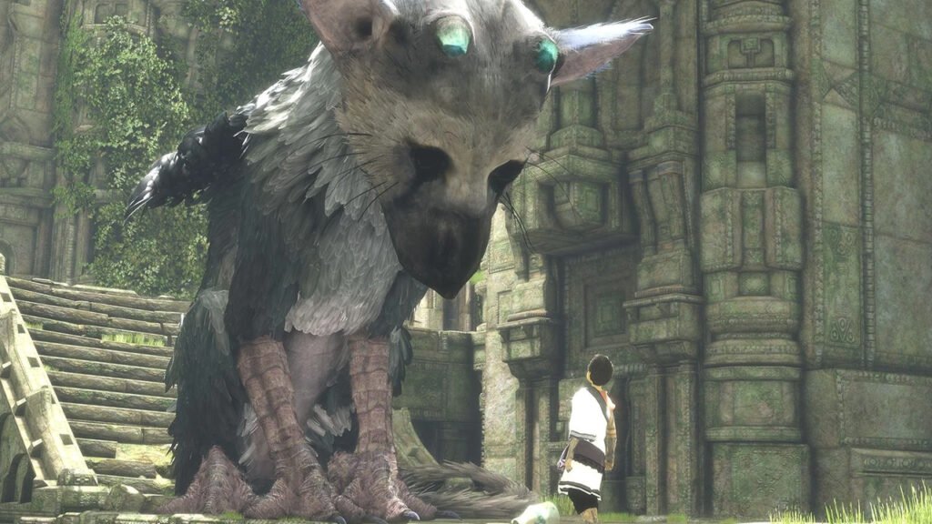 image of Trico